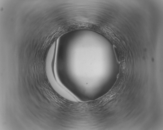 X0000057560916200510071513