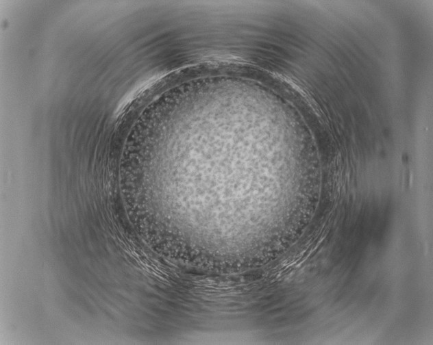 X0000057560919200510071514