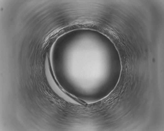 X0000057560920200510071514