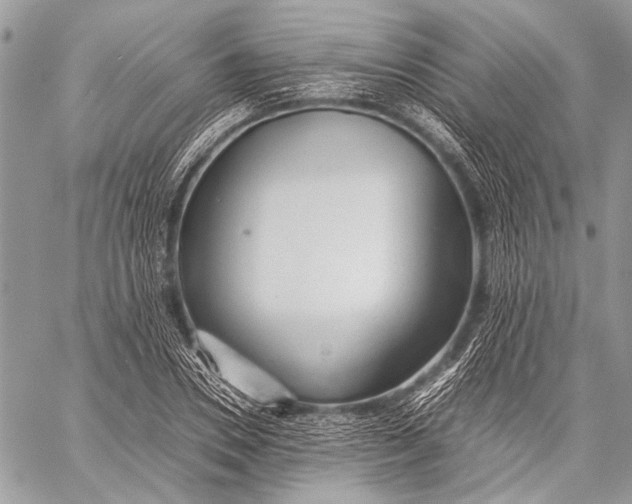 X0000057560930200510071514