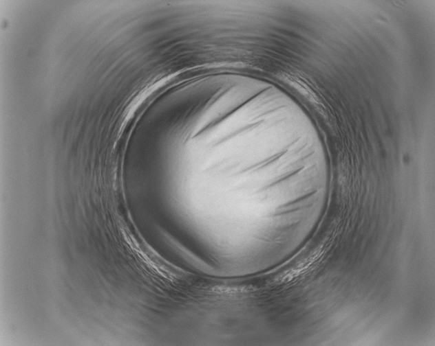 X0000057560933200510071514