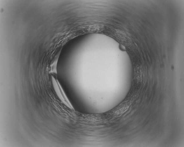 X0000057560962200510071513