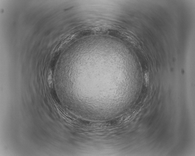 X0000057560963200510071513