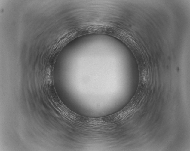 X0000057560964200510071513