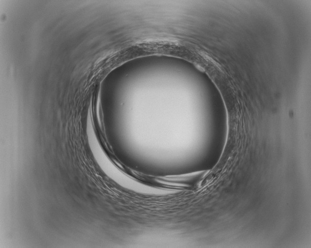 X0000057560965200510071513