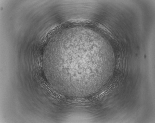 X0000057560966200510071513