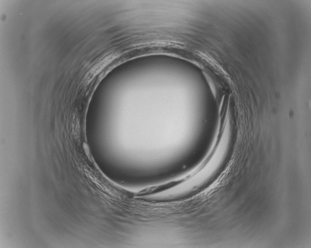 X0000057560969200510071513