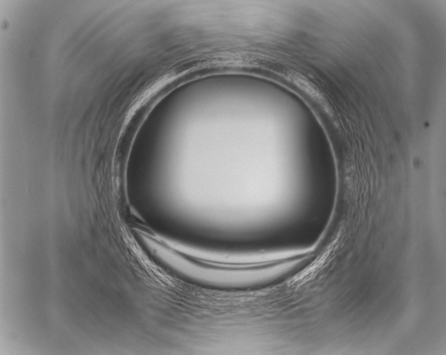 X0000057560981200510071513