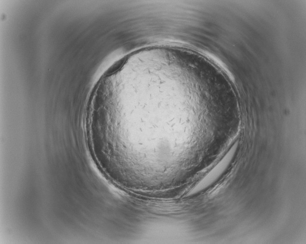 X0000057561007200510071513