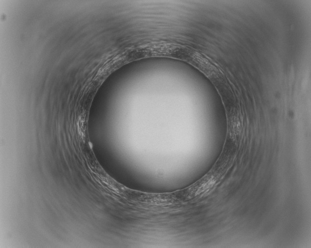 X0000057561010200510071512