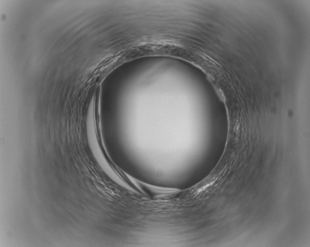 X0000057561014200510071512