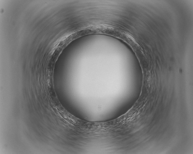 X0000057561016200510071512