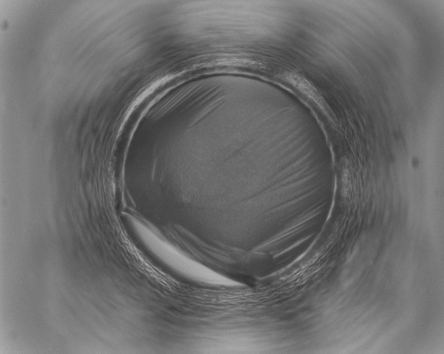 X0000057561024200510071512