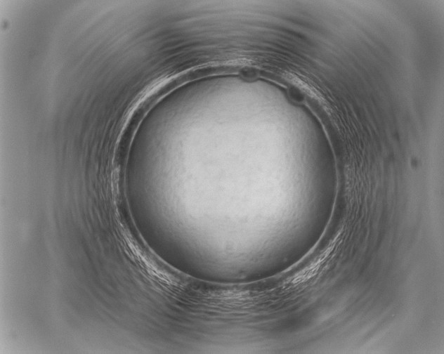 X0000057561029200510071512