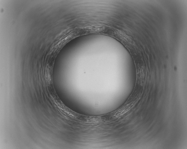 X0000057561058200510071512