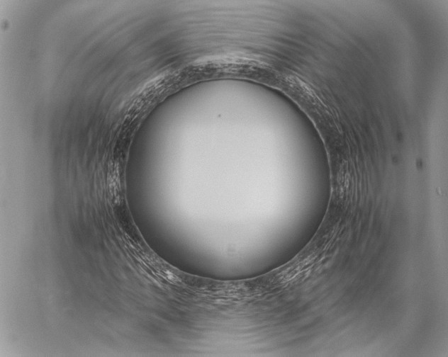 X0000057561062200510071512