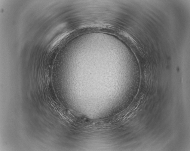 X0000057561064200510071512