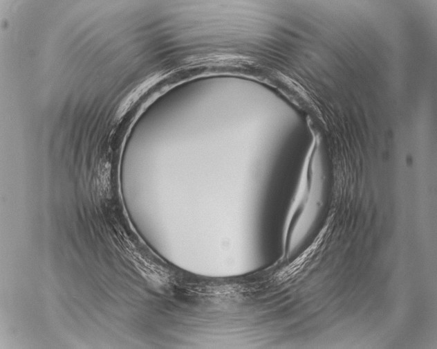 X0000057561066200510071512