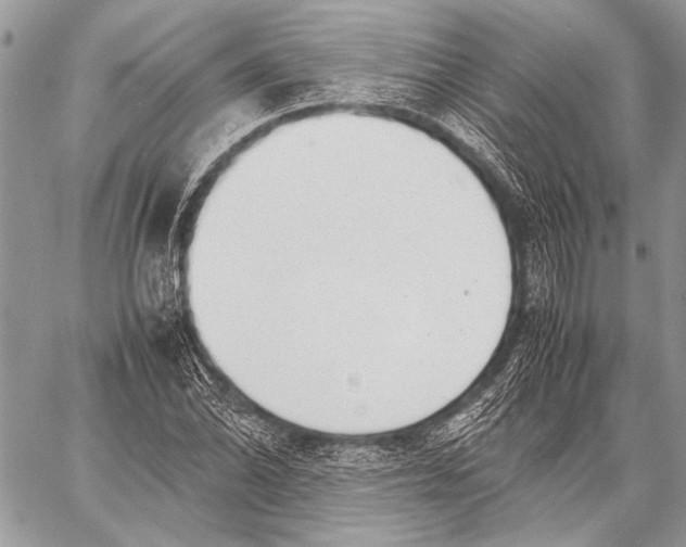 X0000057561070200510071512