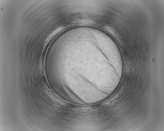 X0000057561074200510071511