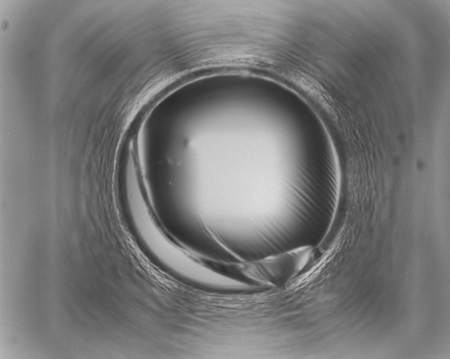 X0000057561077200510071511