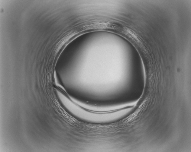 X0000057561081200510071511