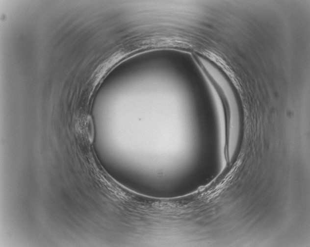 X0000057561089200510071511