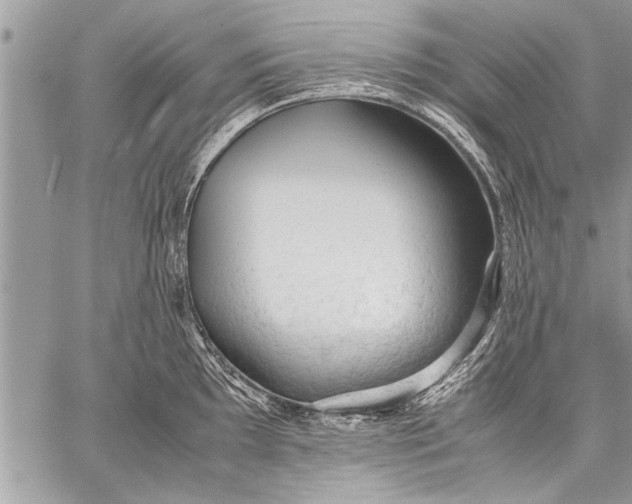 X0000057561097200510071511