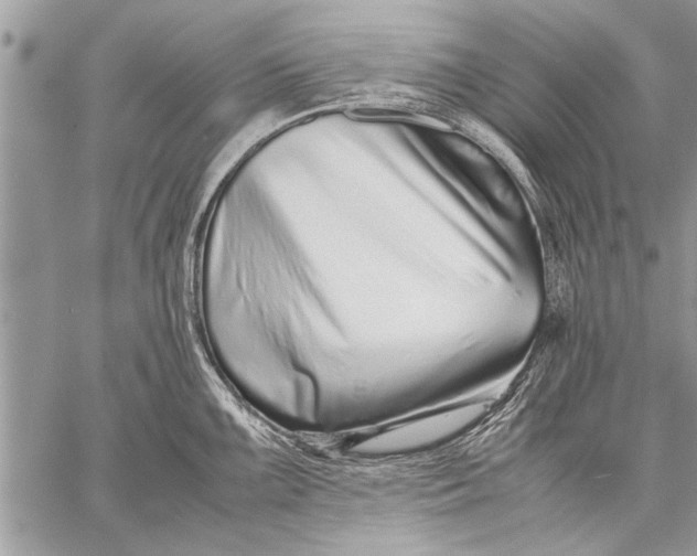 X0000057561099200510071511