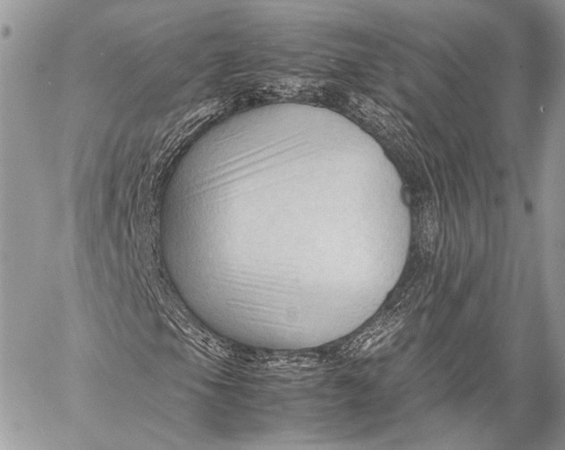 X0000057561105200510071510