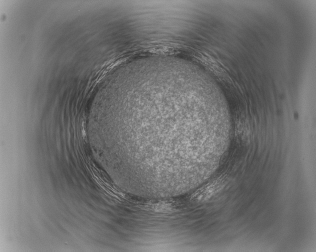 X0000057561106200510071510