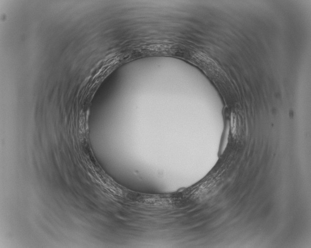 X0000057561107200510071510