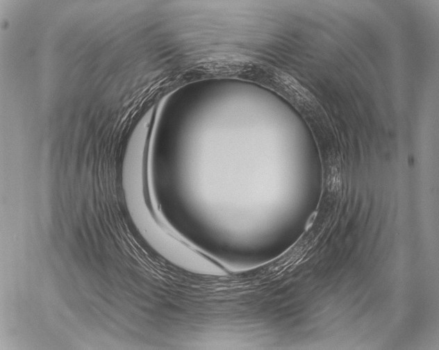 X0000057561108200510071510