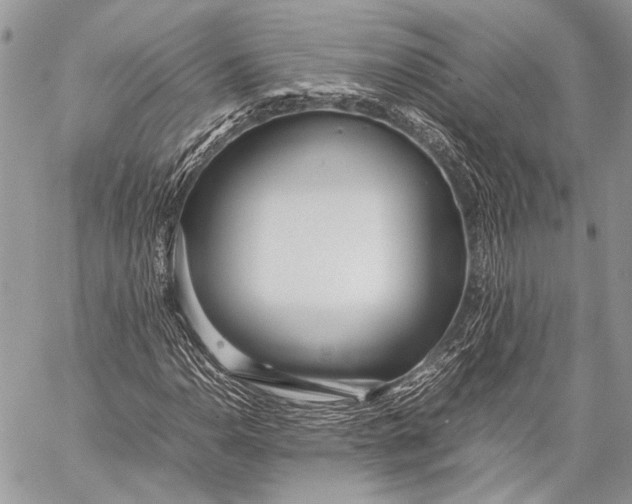 X0000057561110200510071510