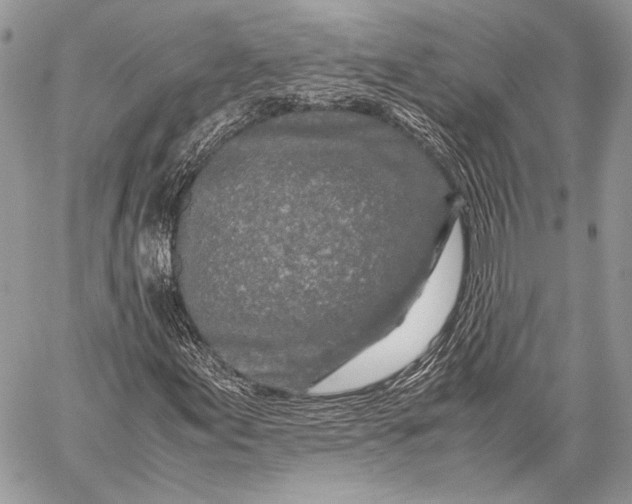 X0000057561155200510071510