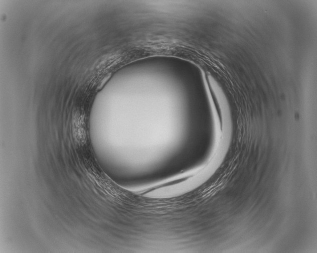X0000057561156200510071510