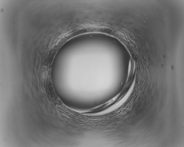 X0000057561157200510071510