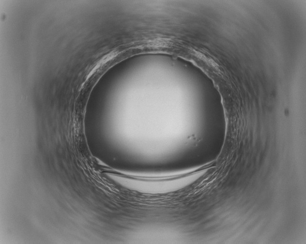 X0000057561160200510071510