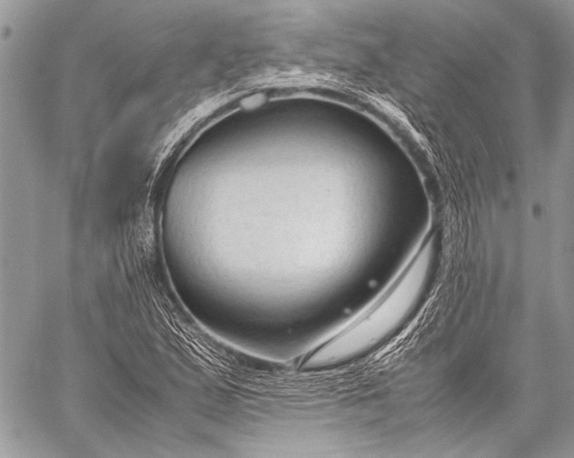 X0000057561167200510071510