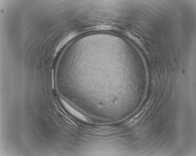 X0000057561171200510071510
