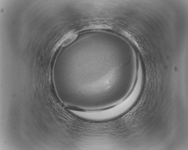 X0000057561173200510071510