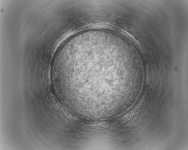 X0000057561174200510071510