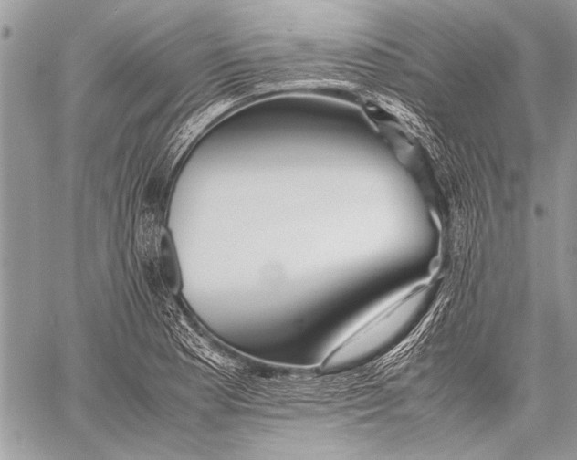 X0000057561177200510071510
