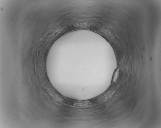 X0000057561201200510071509