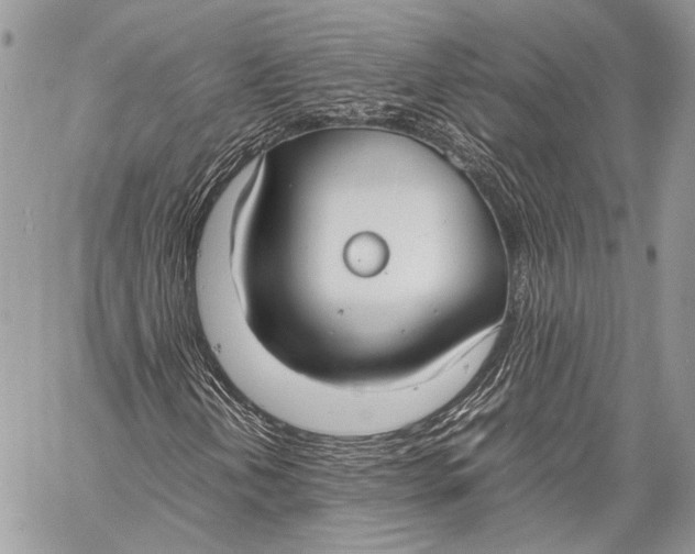 X0000057561202200510071509