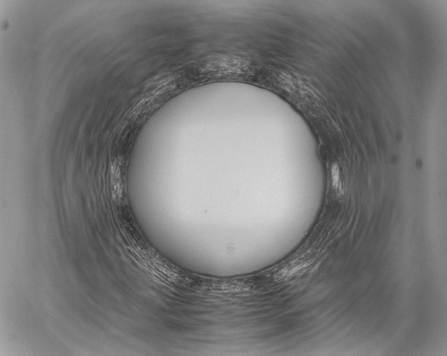 X0000057561203200510071509