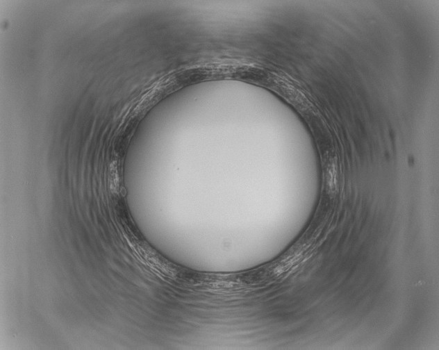 X0000057561204200510071509