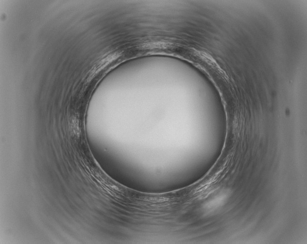 X0000057561209200510071509