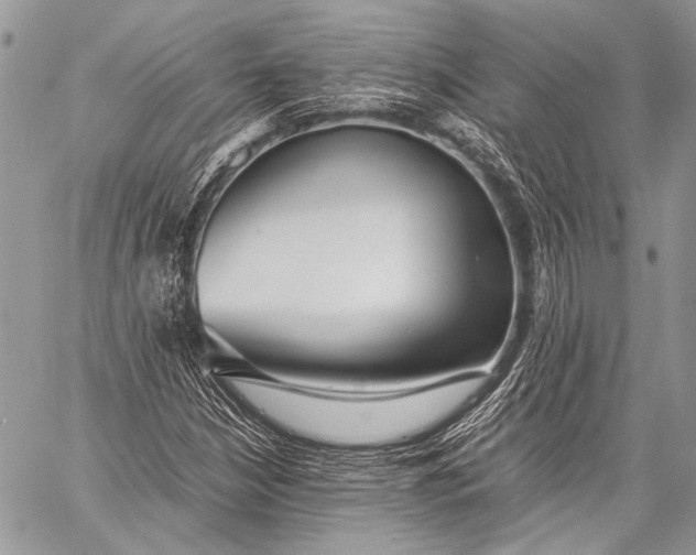 X0000057561210200510071509