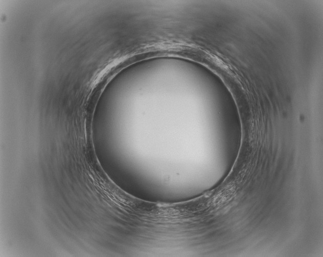 X0000057561214200510071509